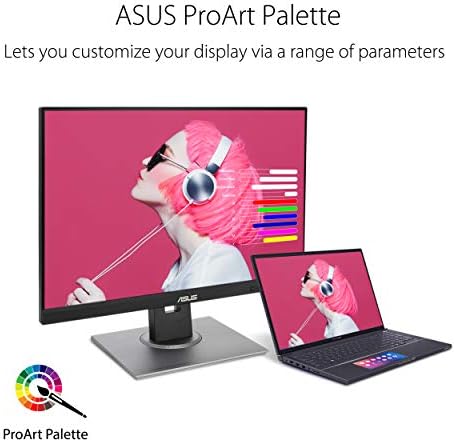 ASUS ProArt 24 Monitor   WUXGA  1920 x 1200   16 10 Monitor  100  sRGB/Rec 709  E < 2  IPS  DisplayPort  HDMI  Calman Verified  Anti Glare  Tilt  Pivot  Swivel  Height Adjustable   PA248QV