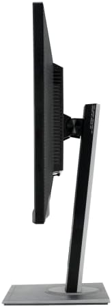 ASUS ProArt Display 32  4K HDR QD OLED Professional Monitor  PA32UCDM    UHD  Ultra Slim  240Hz  0 1ms  Auto Calibration  Dolby Vision  99  DCI P3   E<1  Thunderbolt 4  Calman Ready  3 yr Warranty