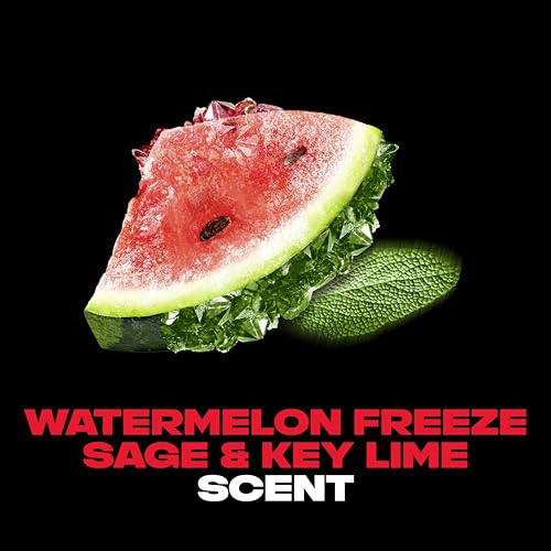 AXE Fine Fragrance Body Spray Variety Pack 4 Pack Touch of Sweetness   Cherry Spritz  Pure Coconut  Black Vanilla  Watermelon Freeze Aluminum Free 4 oz