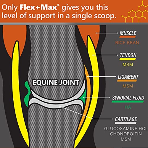 Absorbine Flex Max Horse Joint Supplement Pellets  Highly Palatable  Comprehensive Equine Formula with Glucosamine  MSM  Chondroitin & Flaxseed  10lb Tub / 60 Day Supply