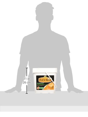 Absorbine Flex Max Horse Joint Supplement Pellets  Highly Palatable  Comprehensive Equine Formula with Glucosamine  MSM  Chondroitin & Flaxseed  10lb Tub / 60 Day Supply