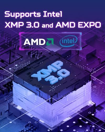 Acer Predator Pallas II DDR5 RAM 32GB  16GBx2  6000MHz CL30 PC5 48000 Intel XMP 3 0 AMD EXPO Compatible Computer Memory  Black   BL 9BWWR 433