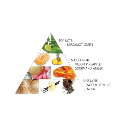 Al Haramain Al Harmain amber oud gold edition unisex 4 0 Ounce eau de parfum spray  4 0 Ounce