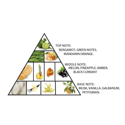 Al Haramain Amber Oud   Aqua Dubai   Oud Cologne for Men   Amber Perfume for Men   Long Lasting Perfume with Bergamot  Vanilla Fragrances   3 33 oz