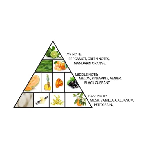 Al Haramain Amber Oud   Aqua Dubai   Oud Cologne for Men   Amber Perfume for Men   Long Lasting Perfume with Bergamot  Vanilla Fragrances   3 33 oz