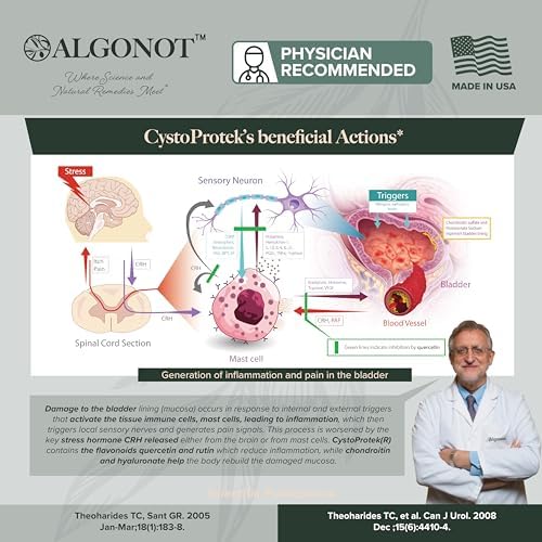 Algonot CystoProtek   Bladder Health   120 Capsules   Support The Bladder with a Powerfull Combination of hyaluronate  chondroitin  and Natural flavonoids