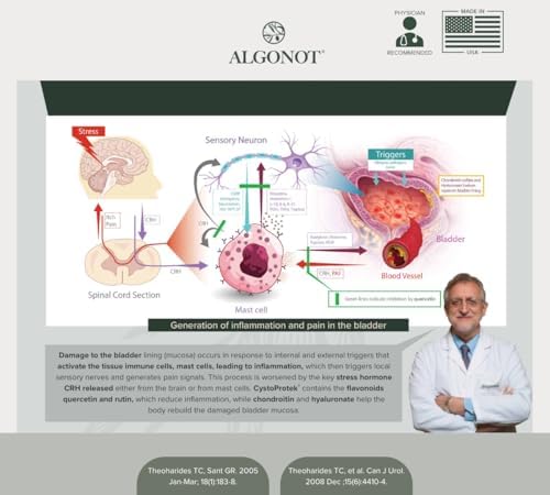 CystoProtek 1 Pack - Fórmula patentada que promueve la salud de la vejiga utilizando una combinación exclusiva de hialuronato, condroitina y flavonoides naturales