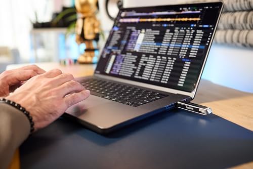 Alpha Theta Sandisk DJ Flash Drive   1TB USB