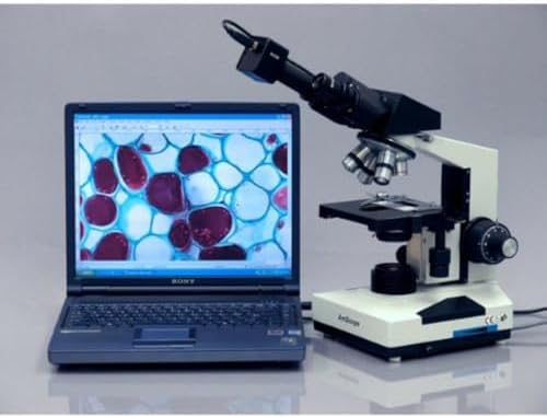 AmScope Microscopio binocular compuesto B490B-LED, oculares WF10x y WF20x, aumento 40X-2000X, Brightfield, iluminación LED, condensador Abbe, etapa mecánica de doble capa, cabezal deslizante, óptica