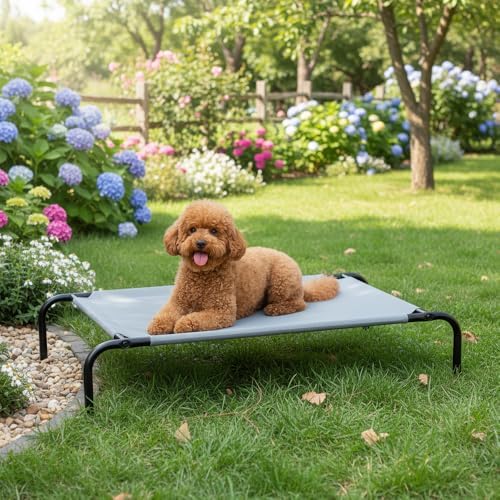 Amazon Basics Cooling Breathable Elevated Dog Bed with Durable Metal Frame  Medium  43 x 26 x 7 5 Inch  Grey  Easy to Assemble