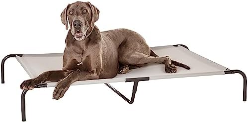 Amazon Basics Cooling Breathable Elevated Dog Bed with Durable Metal Frame  Medium  43 x 26 x 7 5 Inch  Grey  Easy to Assemble