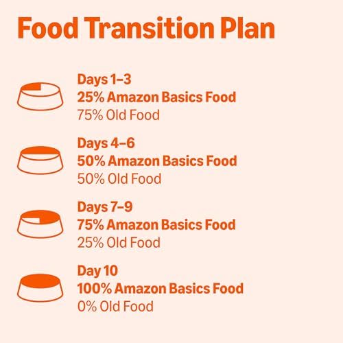 Amazon Basics Wet Dog Food  Cuts in Gravy Filet Mignon Flavor  Made with Real Chicken and Beef  13 2 oz can  Pack of 12 