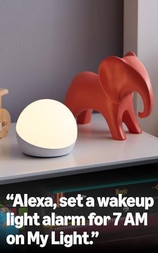 Amazon Echo Dot Kids  newest model    Owl including Amazon Kids  with Echo Glow  with Alexa  Early Access