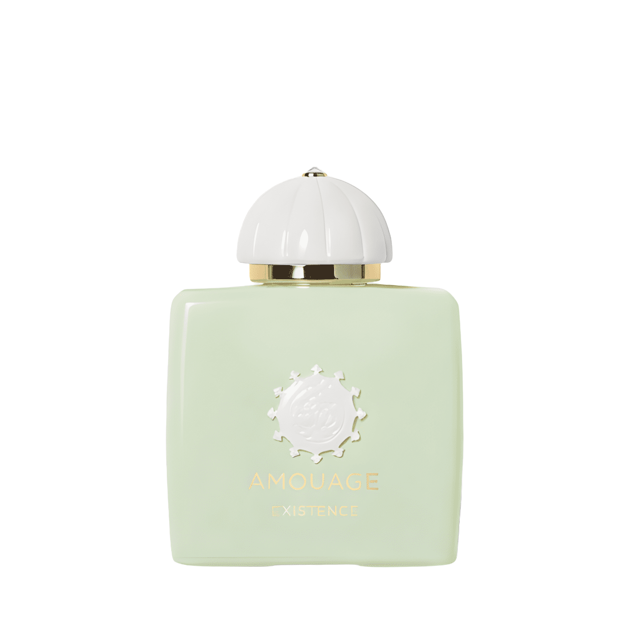 Amouage Existence Eau de Parfum 100ML / 3.4OZ Retail Bottle