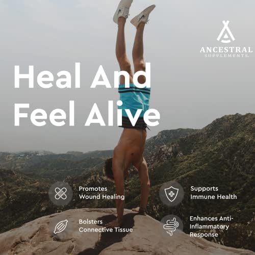Ancestral Supplements Grass Fed Beef Tracheal Cartilage Supplement with Liver  3000mg  Immune Health and Joint Support Supplement Promotes Healing  Non GMO  180 Capsules