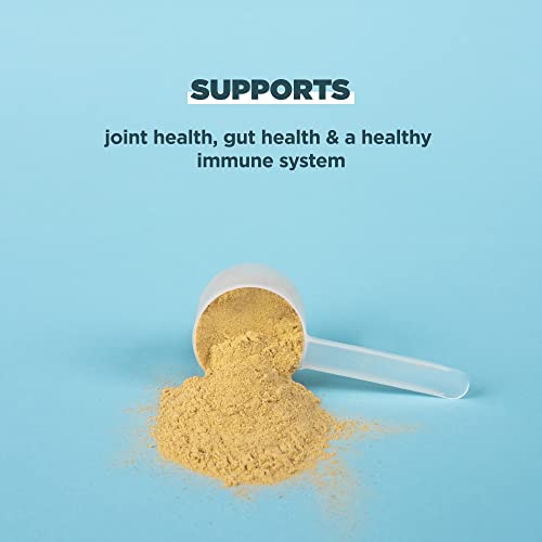 Ancient Nutrition Alimentado con pasto, sin jaula, polvo de proteína de caldo de hueso, 0.71 onzas de proteína, péptidos de colágeno hidrolizados, apto para dieta keto y paleo, apoya la salud de las