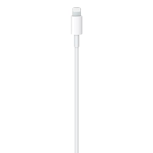 Apple USB C to Lightning Cable 1 m Fast and Convenient Charging Lightning to USB C or Thunderbolt 3