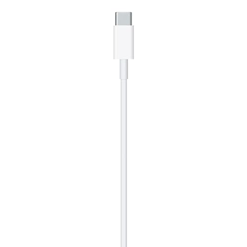 Apple USB C to Lightning Cable 1 m Fast and Convenient Charging Lightning to USB C or Thunderbolt 3