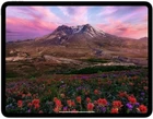Apple iPad Pro 11"  M5  A3357 256GB Wi Fi   Space Black