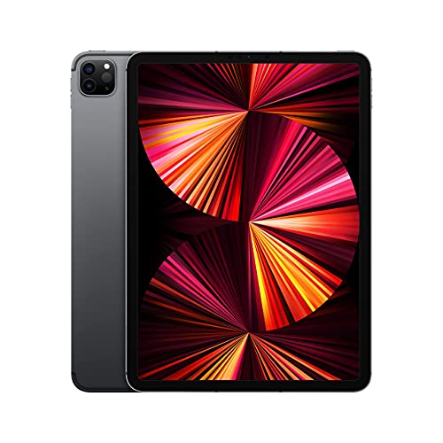 Apple iPad Pro 11 inch  3nd Gen     128GB   WiFi   Space Gray  Renewed Premium