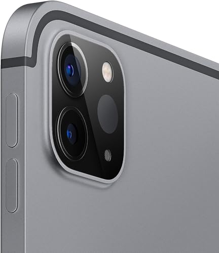 Apple iPad Pro 11 inches  Late 2018  256GB  WiFi   4G LTE   Space Gray  Renewed