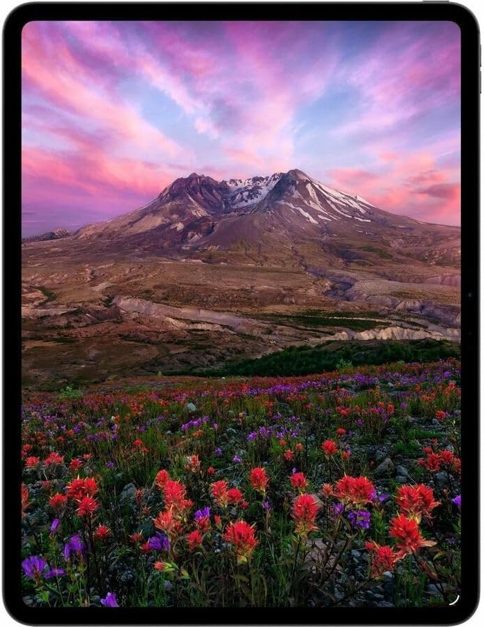 Apple iPad Pro 11 inch  M5   Ultra Retina XDR Display  256GB  12MP Front/Back Camera  LiDAR Scanner  Wi Fi 7 with Apple N1   5G Cellular with C1X chip  Face ID  All Day Battery Life   Space Black