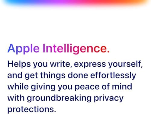 Apple iPad Pro 2024  11 inch  Wi Fi  256GB    Space Black  Renewed