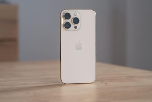 Apple iPhone 13 Pro. 256GB, grafito. Desbloqueado (Renovado)