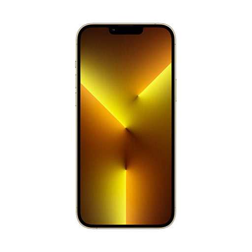 Apple iPhone 13 Pro 256GB Desbloqueado - Muy Buen Estado