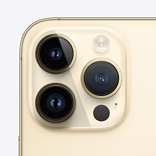Apple iPhone 14 Pro Max, 256 GB, dorado, desbloqueado (reacondicionado)