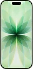 256 gb negro Apple iPhone 17   256gb   Unlocked   New/Sealed   Factory Warranty   All Colors