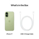 256 gb negro Apple iPhone 17   256gb   Unlocked   New/Sealed   Factory Warranty   All Colors