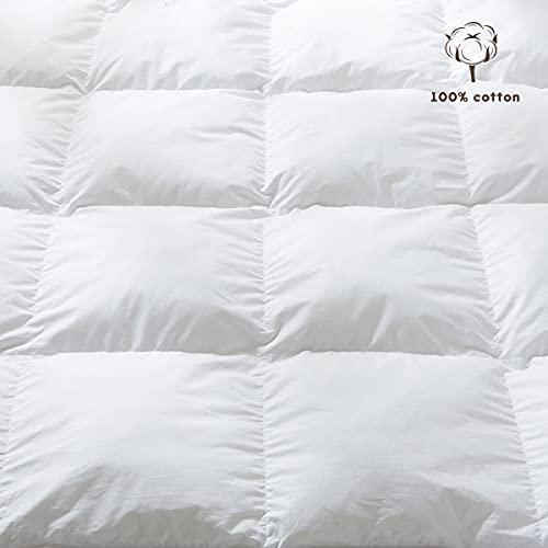 Archu Sheets 1 Pc Comforter 100  Egyptian Cotton  600 Thread Count 200 GSM Fiber Fill   Olympic Queen Silver Grey Solid