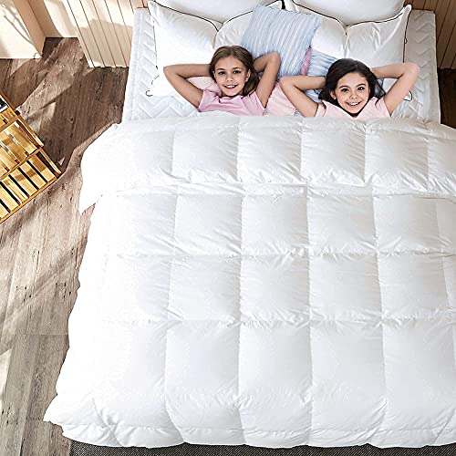 Archu Sheets 1 Pc Comforter 100  Egyptian Cotton  600 Thread Count 200 GSM Fiber Fill   Olympic Queen Silver Grey Solid