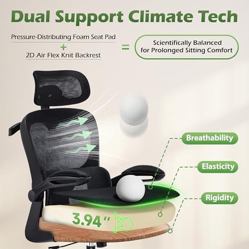 AreShark Office Chair Ergonomic Desk Chairs with Adjustable Lumbar Support& Headrest Hanger  High Back Breathable Mesh Chair with Wheels  Rolling Swivel Comfy Task Computer Chair for Home Work Gaming