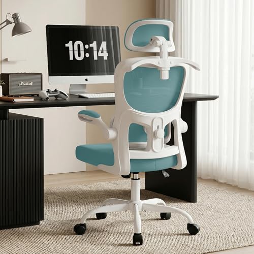 AreShark Office Chair Ergonomic Desk Chairs with Adjustable Lumbar Support& Headrest Hanger  High Back Breathable Mesh Chair with Wheels  Rolling Swivel Comfy Task Computer Chair for Home Work Gaming