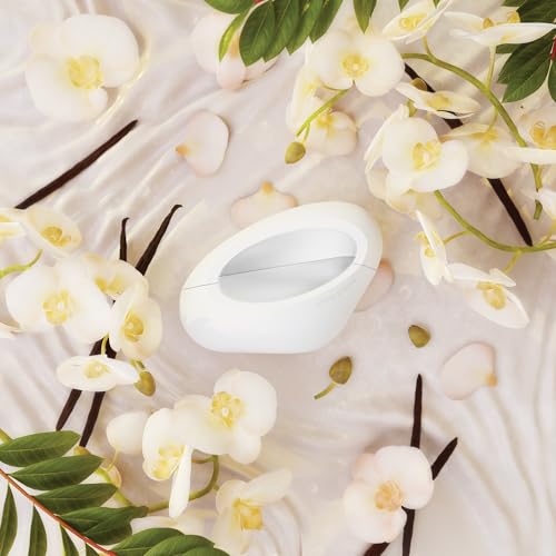 Ariana Grande MOD Vanilla Eau De Parfum   Gourmand Musk Fragrance for Women   Womens Perfume with Notes of Vanilla  Cocoa Butter  Plum & Jasmine