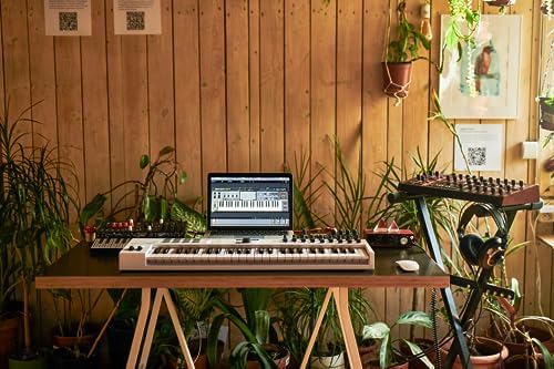 Arturia KeyLab Essential mk3   61 Key USB MIDI Keyboard Controller with Analog Lab V Software Included