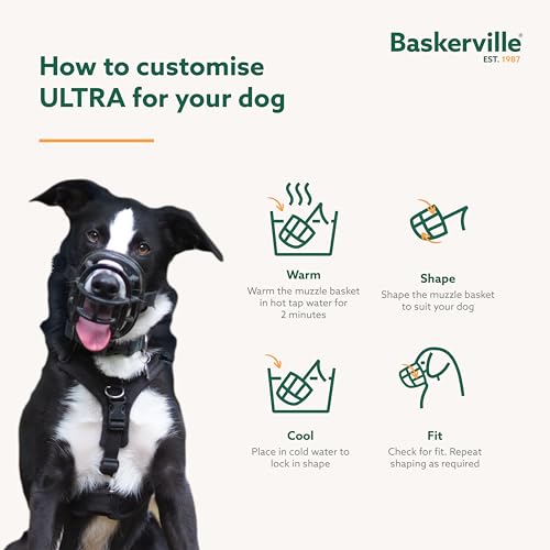 BASKERVILLE ULTRA MUZZLE   Patented Humane Design  Breathable  Dog can Pant and Drink  Adjustable  Padded  Dog Training Muzzle for Large Dogs  Prevents Biting  Wildlife Scavenging  Size 6  Black 