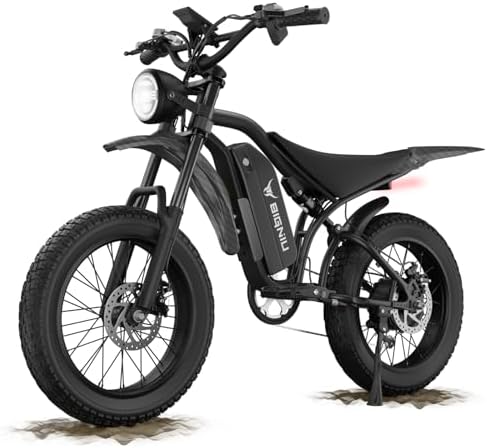 BG S Electric Bike for Adults   20x4 5 Fat Tire  1200W Motor  48V 15Ah Battery  7 Speed  Dual Disc Brakes for Off Road and City Riding