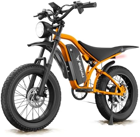 BG S Electric Bike for Adults   20x4 5 Fat Tire  1200W Motor  48V 15Ah Battery  7 Speed  Dual Disc Brakes for Off Road and City Riding