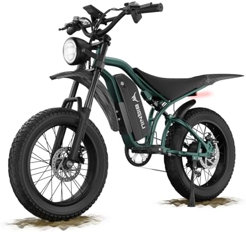 BG S Electric Bike for Adults   20x4 5 Fat Tire  1200W Motor  48V 15Ah Battery  7 Speed  Dual Disc Brakes for Off Road and City Riding