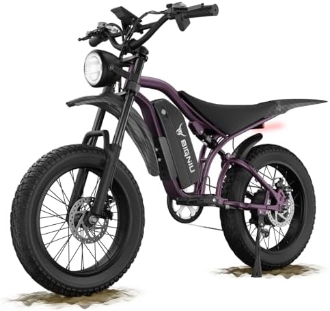 BG S Electric Bike for Adults   20x4 5 Fat Tire  1200W Motor  48V 15Ah Battery  7 Speed  Dual Disc Brakes for Off Road and City Riding