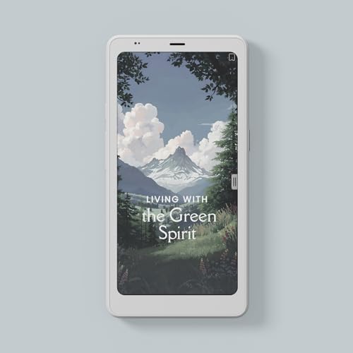 BOOX Palma2 Pro Mobile ePaper eBook Reader 8G 128G 150PPI in Color Mode  White