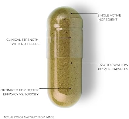 Bacopa Monnieri Capsules 750mg   Herbal Supplement with 40  Bacosides Bacopa Monnieri   Helps to Support Memory and Cognitive Ability   120 Capsules