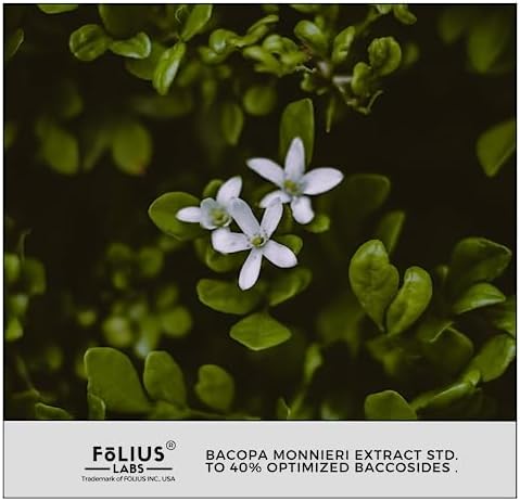 Bacopa Monnieri Capsules 750mg   Herbal Supplement with 40  Bacosides Bacopa Monnieri   Helps to Support Memory and Cognitive Ability   120 Capsules