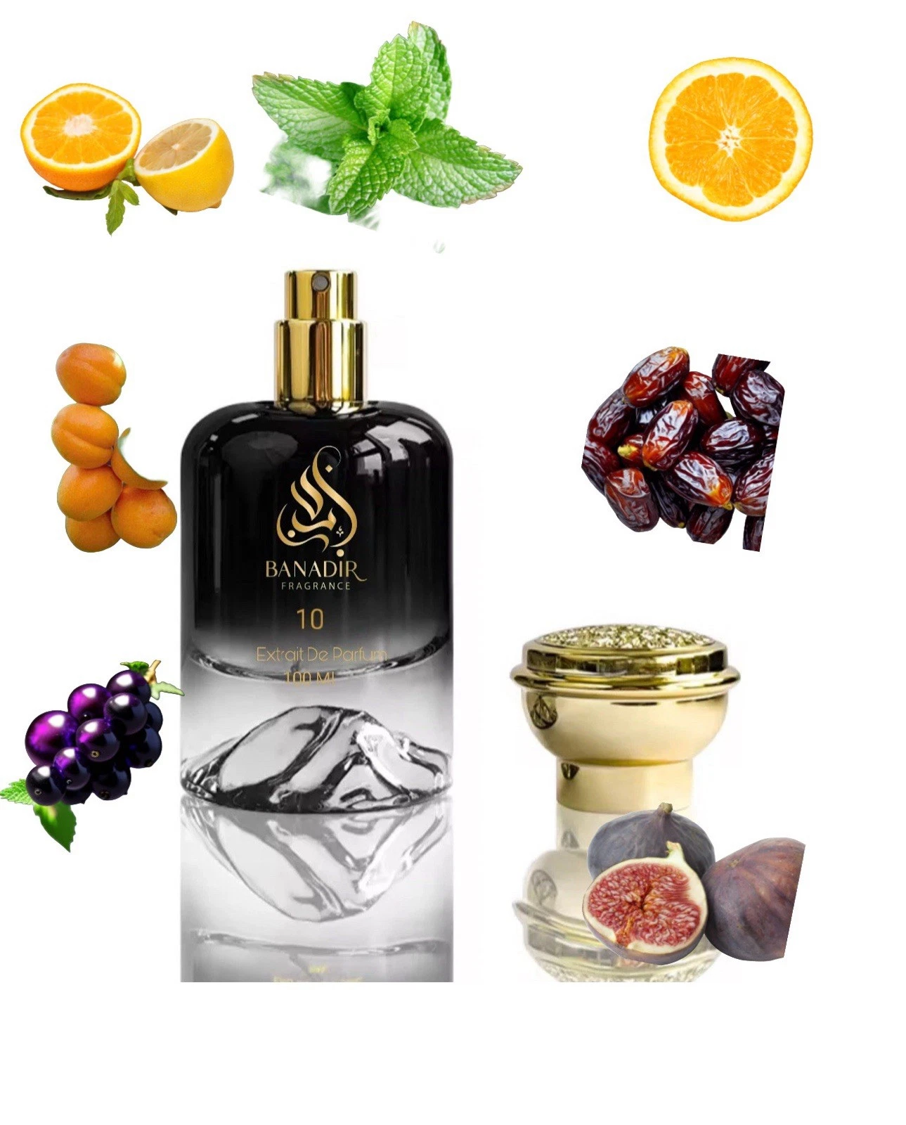 Banadirfragrance 10 Extrait De Parfum 100 Ml    NICHE PACIFIC CHILL