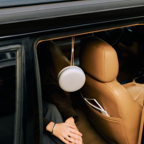Bang & Olufsen Beosound A1 3rd Gen Portable Waterproof Bluetooth Speaker with 3 Microphones  Cradle to Cradle  C2C  Certified  Natural Aluminum