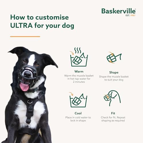 Baskerville ULTRA Muzzle   Patented Humane Design  Breathable  Dog can Pant and Drink  Adjustable  Padded  Training Muzzle for Medium sized Dogs  Prevents Biting  Wildlife Scavenging  Size 3  Black
