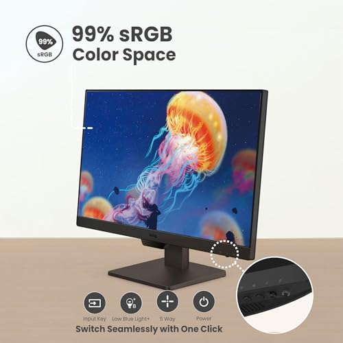 BenQ GW2490 24 Computer Monitor 100Hz FHD 1920x1080p IPS Eye Care Tech VESA Mount Thin Bezel Low Blue Light Adaptive Brightness Wall Mount Built in Speakers DisplayPort HDMI Port2